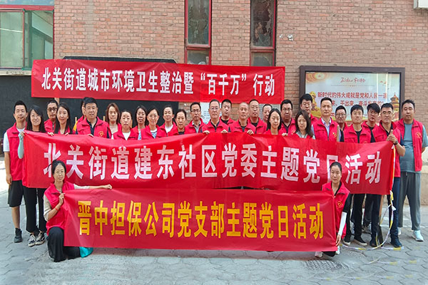 志愿活动主题党日