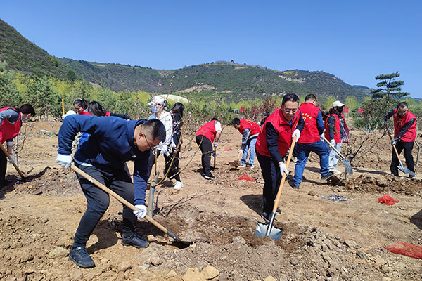 志愿植树活动